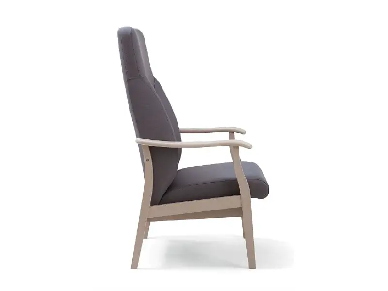 De relaxstoelen, met zwarte bekleding met houten frame.