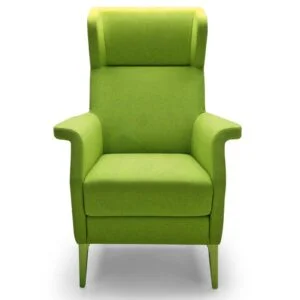 Moderne oorstoel Glammy Groene stoel