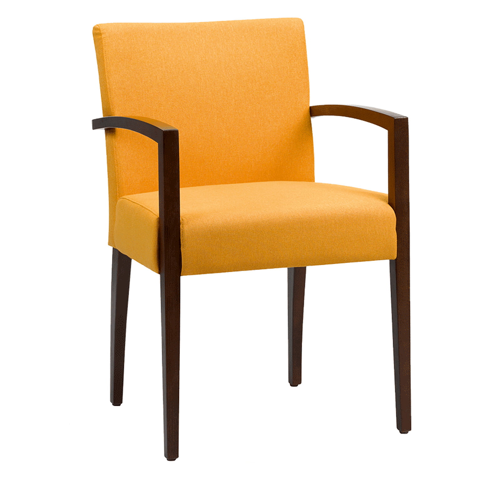 Perix-AB-Zorgstoel-Nosag-veren-Perix-A-open Seniorenstoel met houten armleuning