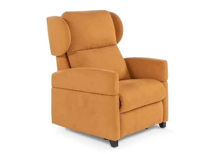 Stevige fauteuil met armleuning en oren
