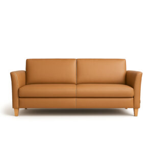 Comfortabele ouderen bank in bruin kunstleder